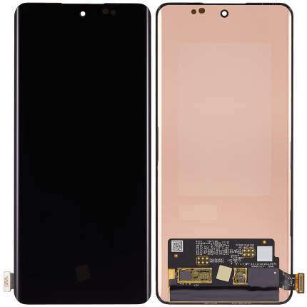 OLED Assembly Without Frame Compatible For OPPO A3 Pro / A2 Pro (Refurbished) (All Colors)