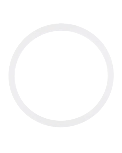 Back Camera Lens O-Ring Gasket Compatible For iPhone 8 / SE (2020) / SE (2022) (100 Pack)